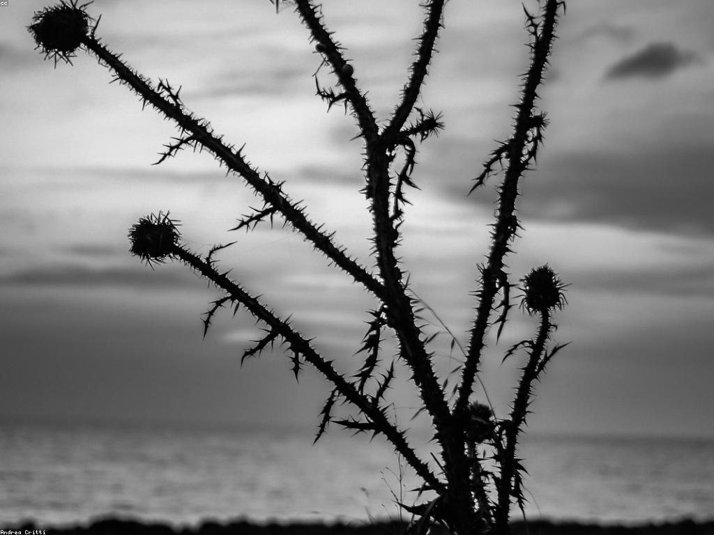 ការស្វែងយល់អំពីទេសភាពបាញ់