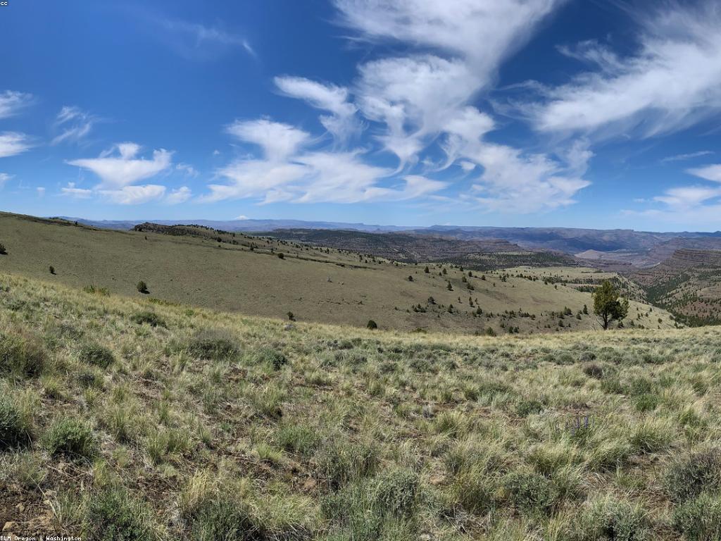 វិធីសាស្រ្តការបាញ់សត្វខាងក្រៅ