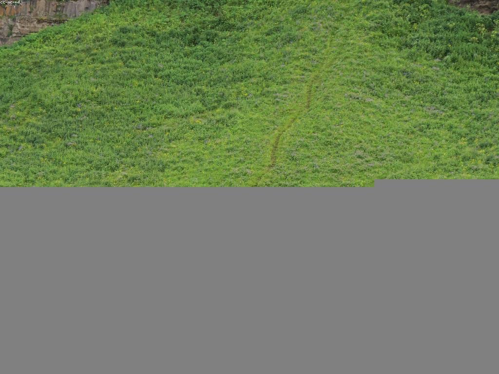 អភិវឌ្ឍន៏នៃជីវវិទ្យានៅក្នុងទេសភាពបាញ់