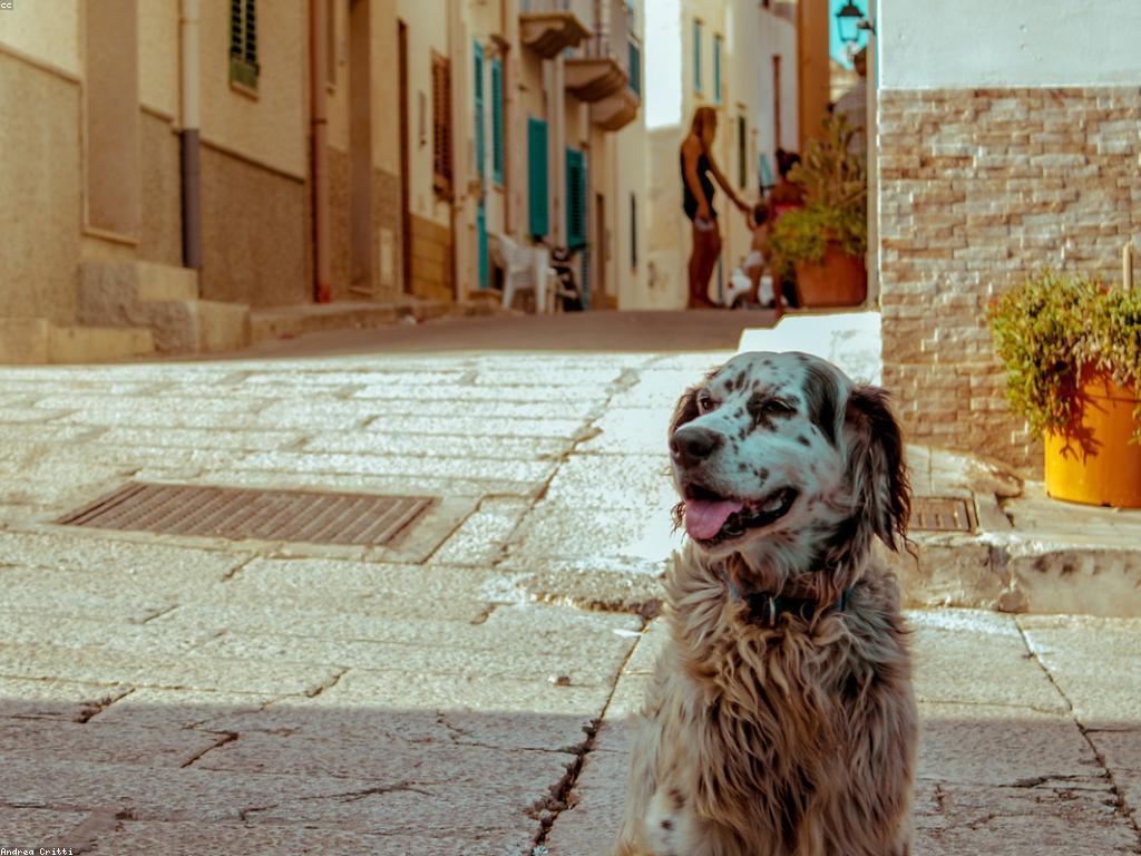 ការប្រកួតទេសភាពបាញ់នៅក្នុងប្រទេសកម្ពុជា