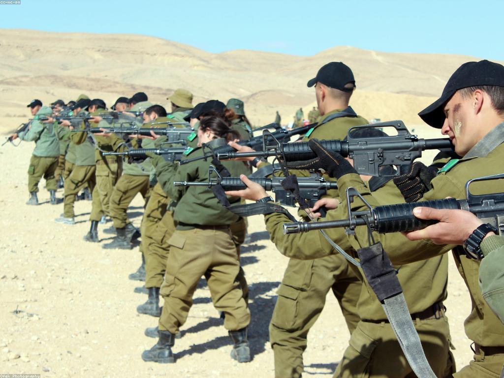 គន្លឹះការបាញ់សម្រាប់អ្នកចាប់ផ្តើម